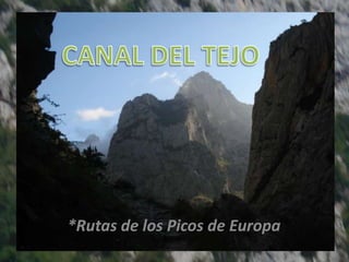 CANAL DEL TEJO *Rutas de los Picos de Europa 