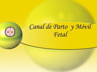 Canal de Parto  y Móvil Fetal 