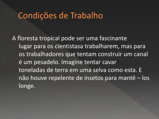 A floresta tropical pode ser uma fascinante
lugar para os cientistasa trabalharem, mas para
os trabalhadores que tentam construir um canal
é um pesadelo. Imagine tentar cavar
toneladas de terra em uma selva como esta. E
não houve repelente de insetos para mantê – los
longe.
 