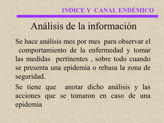 INDICE Y CANAL ENDÉMICO

Análisis de la información
Se hace análisis mes por mes para observar el
comportamiento de la enfermedad y tomar
las medidas pertinentes , sobre todo cuando
se presenta una epidemia o rebasa la zona de
seguridad.
Se tiene que anotar dicho análisis y las
acciones que se tomaron en caso de una
epidemia

 