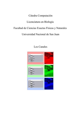 Cátedra Computación
Licenciatura en Biología
Facultad de Ciencias Exactas Físicas y Naturales
Universidad Nacional de San Juan
Los Canales
 