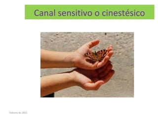 Canal sensitivo o cinestésico
Febrero de 2015
 