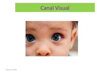 Canal Visual
Febrero de 2015
 
