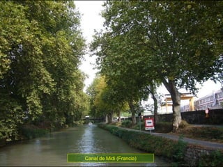 Canal de Midi (Francia) 