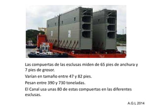 Las compuertas de las esclusas miden de 65 pies de anchura y 
7 pies de grosor. 
Varían en tamaño entre 47 y 82 pies. 
Pesan entre 390 y 730 toneladas. 
El Canal usa unas 80 de estas compuertas en las diferentes 
esclusas. 
A.G.L 2014 
 