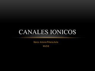 Marco Antonio Piñeros Avila
MVZ-B
CANALES IONICOS
 