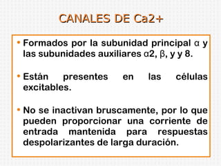 CANALES DE Ca2+ Formados por la subunidad principal α y las subunidades auxiliares α2, β, y y 8. Están presentes en las células excitables. No se inactivan bruscamente, por lo que pueden proporcionar una corriente de entrada mantenida para respuestas despolarizantes de larga duración.  