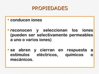 PROPIEDADES conducen iones reconocen y seleccionan los iones (pueden ser selectivamente permeables a uno o varios iones) se abren y cierran en respuesta a estímulos eléctricos, químicos o mecánicos. 