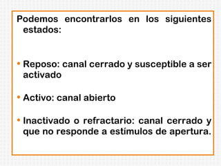 Podemos encontrarlos en los siguientes estados: Reposo: canal cerrado y susceptible a ser activado Activo: canal abierto Inactivado o refractario: canal cerrado y que no responde a estímulos de apertura.  