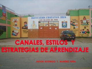 CANALES, ESTILOS  Y ESTRATEGIAS DE APRENDIZAJE<br />AUTOR: RODRIGO  T.  RAMÍREZ PEÑA<br />