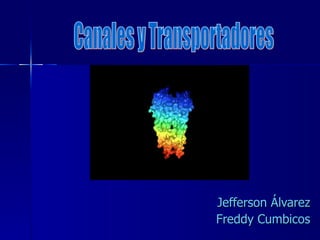 Jefferson Álvarez Freddy Cumbicos Canales y Transportadores 