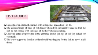 FISH LADDER
Consists of an inclined channel with a slope not exceeding 1 in 10.
The compartment of bays of fish ladder should be sufficiently large so that the
fish do not collide with the sides of the bay when ascending.
Grooved gates are provided at the entrance and at the exit of the fish ladder for
closing it.
The water supply to the fish ladder should be adequate for the fish to travel at all
times.
 