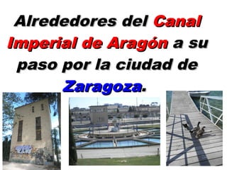 Alrededores del Canal
Imperial de Aragón a su
 paso por la ciudad de
      Zaragoza.
 