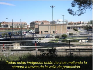 Todas estas imágenes están hechas metiendo la
   cámara a través de la valla de protección.
 
