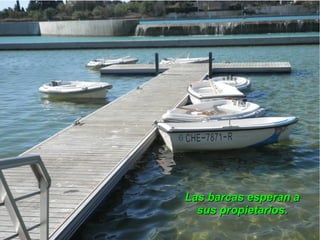 Las barcas esperan a
  sus propietarios.
 