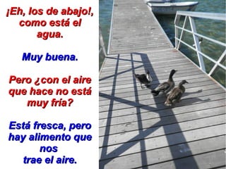 ¡Eh, los de abajo!,
  como está el
       agua.

   Muy buena.

Pero ¿con el aire
que hace no está
   muy fría?

Está fresca, pero
hay alimento que
       nos
   trae el aire.
 