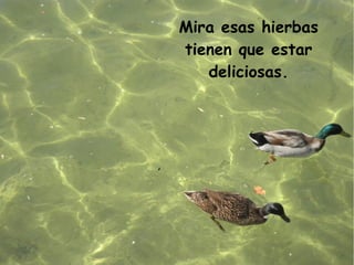 Mira esas hierbas
tienen que estar
   deliciosas.
 