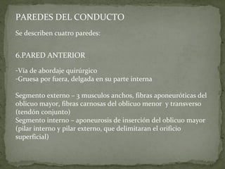 PAREDES DEL CONDUCTO
Se describen cuatro paredes:


6.PARED ANTERIOR
-Vía de abordaje quirúrgico
-Gruesa por fuera, delgada en su parte interna

Segmento externo – 3 musculos anchos, fibras aponeuróticas del
oblicuo mayor, fibras carnosas del oblicuo menor y transverso
(tendón conjunto)
Segmento interno – aponeurosis de inserción del oblicuo mayor
(pilar interno y pilar externo, que delimitaran el orificio
superficial)
 