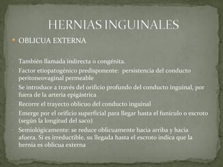  OBLICUA EXTERNA


- También llamada indirecta o congénita.
- Factor etiopatogénico predisponente: persistencia del conducto
    peritoneovaginal permeable
-   Se introduce a través del orificio profundo del conducto inguinal, por
    fuera de la arteria epigástrica
-   Recorre el trayecto oblicuo del conducto inguinal
-   Emerge por el orificio superficial para llegar hasta el funículo o escroto
    (según la longitud del saco)
-   Semiológicamente: se reduce oblicuamente hacia arriba y hacia
    afuera. Si es irreductible, su llegada hasta el escroto indica que la
    hernia es oblicua externa
 