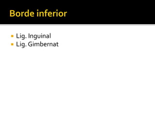  Lig. Inguinal
 Lig. Gimbernat
 