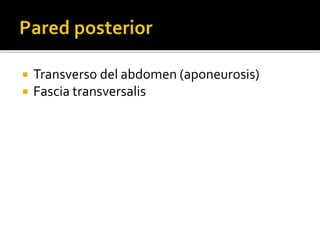  Transverso del abdomen (aponeurosis)
 Fascia transversalis
 