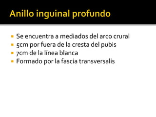  Se encuentra a mediados del arco crural
 5cm por fuera de la cresta del pubis
 7cm de la línea blanca
 Formado por la fascia transversalis
 