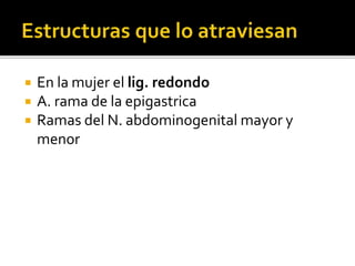  En la mujer el lig. redondo
 A. rama de la epigastrica
 Ramas del N. abdominogenital mayor y
menor
 