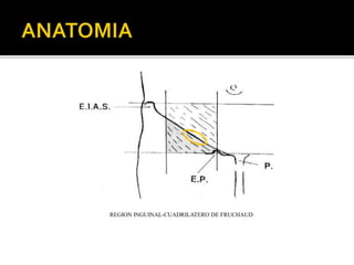 REGION INGUINAL-CUADRILATERO DE FRUCHAUD
 