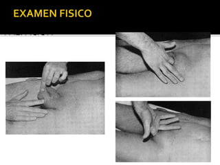 PALPACION
 