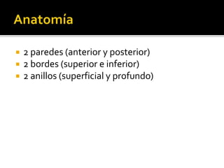  2 paredes (anterior y posterior)
 2 bordes (superior e inferior)
 2 anillos (superficial y profundo)
 