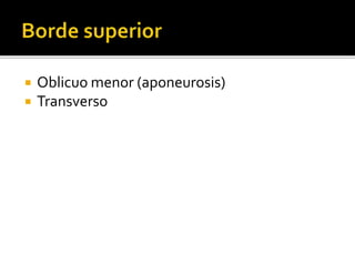  Oblicuo menor (aponeurosis)
 Transverso
 