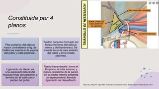 Constituida por 4
planos
Pilar posterior del oblicuo
mayor contralateral o lig. de
Colles (se inserta en la espina
del pubis y creta pectínea).
Tendón conjunto (formado por
fibras inferiores del oblicuo
menor y del transverso). Se
inserta en en la cara anterior
del pubis y en la cresta
pectínea.
Ligamento de Henle: es
una expansión lateral del
músculo recto del abdomen y
termina en el tubérculo y
pecten del pubis.
Fascia transversalis: forma el
4to plano, el más extenso y
menos resistente de la pared.
En su sector interno presenta
un espesamiento llamado
ligamento de Hesselbach.
Moore KL, Dalley AF, Agur AMR. Anatomía con orientación clínica. 8a ed. España: Wolters Kluwer; 2017.
 