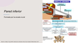 Pared inferior
Formada por la arcada crural
Moore KL, Dalley AF, Agur AMR. Anatomía con orientación clínica. 8a ed. España: Wolters Kluwer; 2017.
 