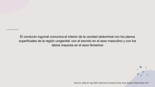 El conducto inguinal comunica el interior de la cavidad abdominal con los planos
superficiales de la región urogenital: con el escroto en el sexo masculino y con los
labios mayores en el sexo femenino
Moore KL, Dalley AF, Agur AMR. Anatomía con orientación clínica. 8a ed. España: Wolters Kluwer; 2017.
 