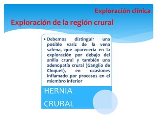 Exploración de la región crural
Exploración clínica
• Debemos distinguir una
posible variz de la vena
safena, que aparecería en la
exploración por debajo del
anillo crural y también una
adenopatía crural (Ganglio de
Cloquet), en ocasiones
inflamado por procesos en el
miembro inferior
HERNIA
CRURAL
 