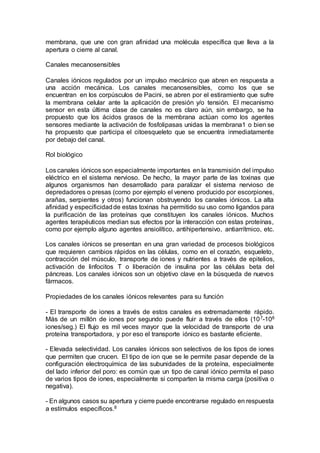 membrana, que une con gran afinidad una molécula específica que lleva a la 
apertura o cierre al canal. 
Canales mecanosensibles 
Canales iónicos regulados por un impulso mecánico que abren en respuesta a 
una acción mecánica. Los canales mecanosensibles, como los que se 
encuentran en los corpúsculos de Pacini, se abren por el estiramiento que sufre 
la membrana celular ante la aplicación de presión y/o tensión. El mecanismo 
sensor en esta última clase de canales no es claro aún, sin embargo, se ha 
propuesto que los ácidos grasos de la membrana actúan como los agentes 
sensores mediante la activación de fosfolipasas unidas la membrana1 o bien se 
ha propuesto que participa el citoesqueleto que se encuentra inmediatamente 
por debajo del canal. 
Rol biológico 
Los canales iónicos son especialmente importantes en la transmisión del impulso 
eléctrico en el sistema nervioso. De hecho, la mayor parte de las toxinas que 
algunos organismos han desarrollado para paralizar el sistema nervioso de 
depredadores o presas (como por ejemplo el veneno producido por escorpiones, 
arañas, serpientes y otros) funcionan obstruyendo los canales iónicos. La alta 
afinidad y especificidad de estas toxinas ha permitido su uso como ligandos para 
la purificación de las proteínas que constituyen los canales iónicos. Muchos 
agentes terapéuticos median sus efectos por la interacción con estas proteínas, 
como por ejemplo alguno agentes ansiolítico, antihipertensivo, antiarrítmico, etc. 
Los canales iónicos se presentan en una gran variedad de procesos biológicos 
que requieren cambios rápidos en las células, como en el corazón, esqueleto, 
contracción del músculo, transporte de iones y nutrientes a través de epitelios, 
activación de linfocitos T o liberación de insulina por las células beta del 
páncreas. Los canales iónicos son un objetivo clave en la búsqueda de nuevos 
fármacos. 
Propiedades de los canales iónicos relevantes para su función 
- El transporte de iones a través de estos canales es extremadamente rápido. 
Más de un millón de iones por segundo puede fluir a través de ellos (107-108 
iones/seg.) El flujo es mil veces mayor que la velocidad de transporte de una 
proteína transportadora, y por eso el transporte iónico es bastante eficiente. 
- Elevada selectividad. Los canales iónicos son selectivos de los tipos de iones 
que permiten que crucen. El tipo de ion que se le permite pasar depende de la 
configuración electroquímica de las subunidades de la proteína, especialmente 
del lado inferior del poro: es común que un tipo de canal iónico permita el paso 
de varios tipos de iones, especialmente si comparten la misma carga (positiva o 
negativa). 
- En algunos casos su apertura y cierre puede encontrarse regulado en respuesta 
a estímulos específicos.8 
 