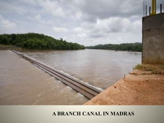A BRANCH CANAL IN MADRAS
 