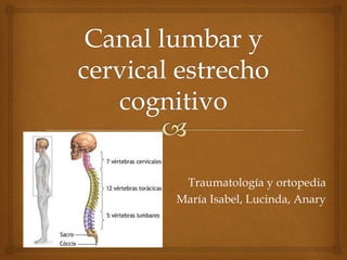 Traumatología y ortopedia
María Isabel, Lucinda, Anary
 