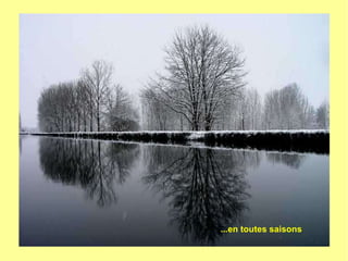 ...en toutes saisons
 