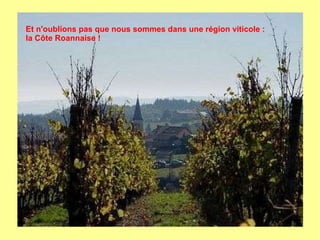 Et n'oublions pas que nous sommes dans une région viticole :
la Côte Roannaise !
 