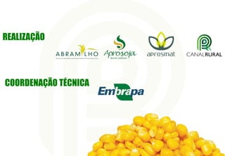 COORDENAÇÃO TÉCNICA
REALIZAÇÃO
 