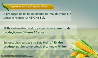 A produção de milho no plantio normal de verão (1ª
safra) concentra-se 46% no Sul.
Milho foi um dos produtos com maior aumento da
produção nos últimos 10 anos.
Desempenho da Cultura Milho
Em pesquisa realizada no Soja Brasil, 48% dos
produtores têm como principal cultura o Milho.
*Fonte: AgroStrat Brasil/MAPA/MDIC | Elaboração: Wedekin Consultores
**Fonte: Pesquisa presencial Soja Brasil Safra 2015/2016 – Amostra 1439 respondentes
*
*
**
 