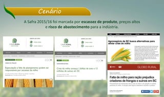 Cenário
A Safra 2015/16 foi marcada por escassez de produto, preços altos
e risco de abastecimento para a indústria.
 