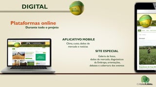 Plataformas online
Durante todo o projeto
SITE ESPECIAL
Galeria de fotos,
dados de mercado, diagnósticos
da Embrapa, orientações,
debates e cobertura dos eventos
Clima, custo, dados de
mercado e notícias
APLICATIVO MOBILE
DIGITAL
 
