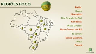 Mato Grosso
Mato Grosso do Sul
Goiás
Bahia
Rio Grande do Sul
Maranhão
Piauí
Santa Catarina
Tocantins
Rondônia
REGIÕES FOCO
Paraná
 