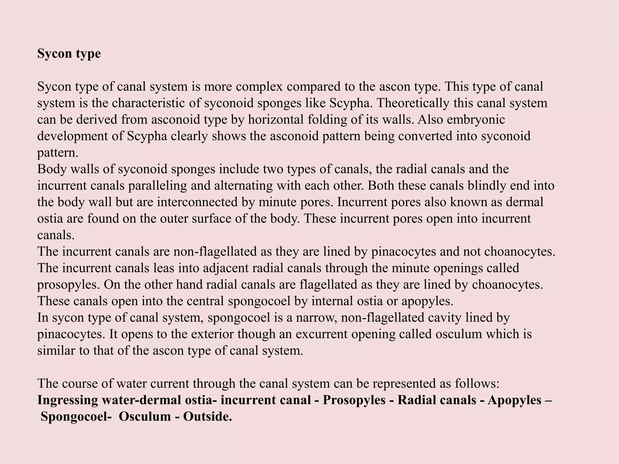 Canal system | PPTX