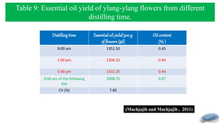 Distilling time Essential oil yield/300 g
of flowers(μl)
Oil content
(% )
9:00 am 1352.50 0.45
1:00 pm 1306.25 0.44
5:00 pm 1331.25 0.44
9:00 am of the following
day
2008.75 0.67
CV (%) 7.85
Table 9: Essential oil yield of ylang-ylang flowers from different
distilling time.
(Muchjajib and Muchjajib , 2011)
 