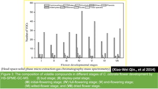 Figure 3: The composition of volatile compounds in different stages of C. odorata flower development by
HS-SPME-GC-MS. (I) bud stage; (II) display-petal stage;
(III) initial-flowering stage; (IV) full-flowering stage; (V) end-flowering stage;
(VI) wilted-flower stage; and (VII) dried flower stage.
(Head space-solid phase micro extraction-gas chromatography-mass spectrometry) (Xiao-Wei Qin., et al 2014)
 