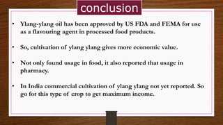 conclusion
• Ylang-ylang oil has been approved by US FDA and FEMA for use
as a flavouring agent in processed food products.
• So, cultivation of ylang ylang gives more economic value.
• Not only found usage in food, it also reported that usage in
pharmacy.
• In India commercial cultivation of ylang ylang not yet reported. So
go for this type of crop to get maximum income.
 