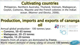 Cultivating countries
Philippines, Northern Australia, Thailand, Vietnam, Madagascar,
Ceylon, Comoros, Mayotte and the French colonies in the Indian
ocean. (Manner and Elevitz, 2006).
Production, imports and exports of cananga
oil
Annual global production- 100 tonnes/year.
Comoros, 50-65 tonnes
Madagascar, 20-25 tonnes
Mayotte, 10-20 tonnes
Imports from all origins are dominated by France.
World import demand of ylang-ylang oil around 100 tonnes/yr.
 
